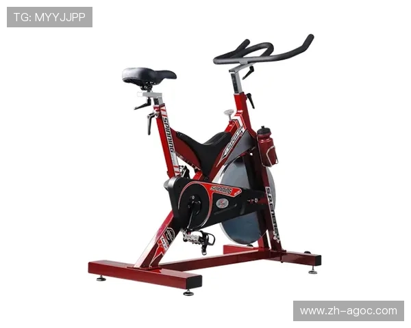 摆动式健身器材使用技巧及适合人群分类